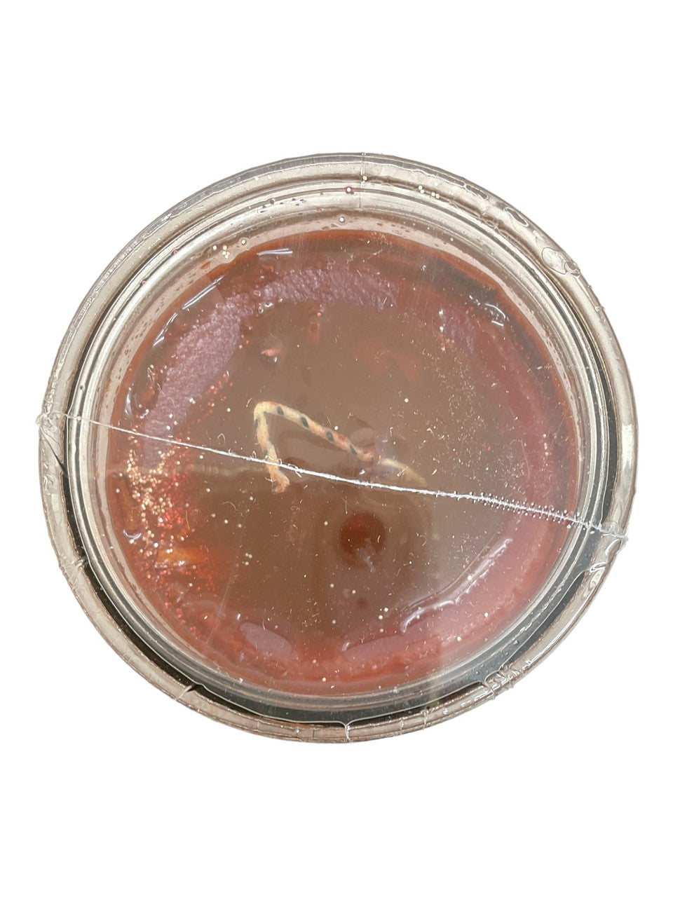 Cinnamon Canela Dressed & Blessed 7 Day Prayer Candle / Protection, Prosperity, Passion