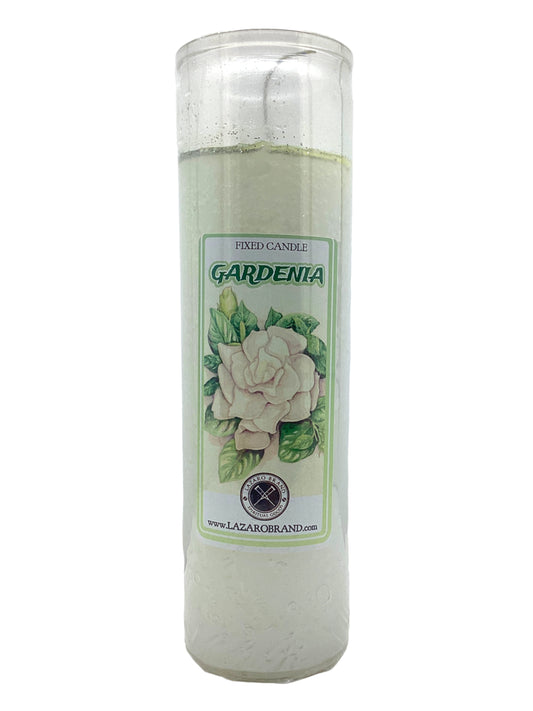 Gardenia Dressed & Blessed 7 Day Prayer Candle / Purification, Clarity, Hope