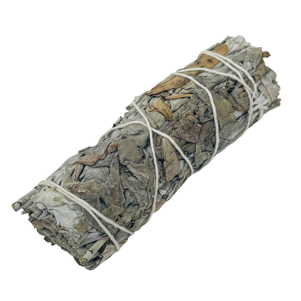 Frankincense White Sage / Smudge Bundle / 4" / Protection & Spiritual Upliftment