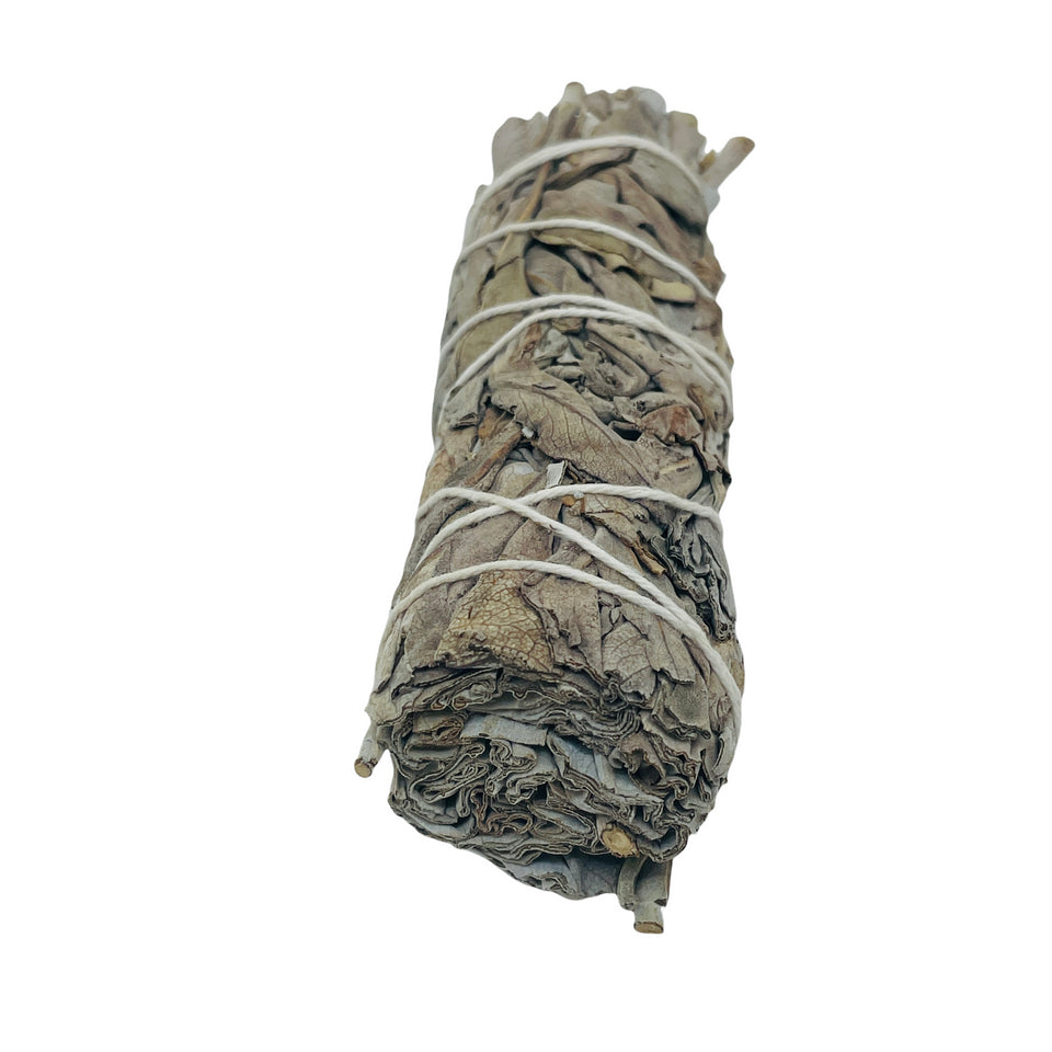Frankincense White Sage / Smudge Bundle / 4" / Protection & Spiritual Upliftment