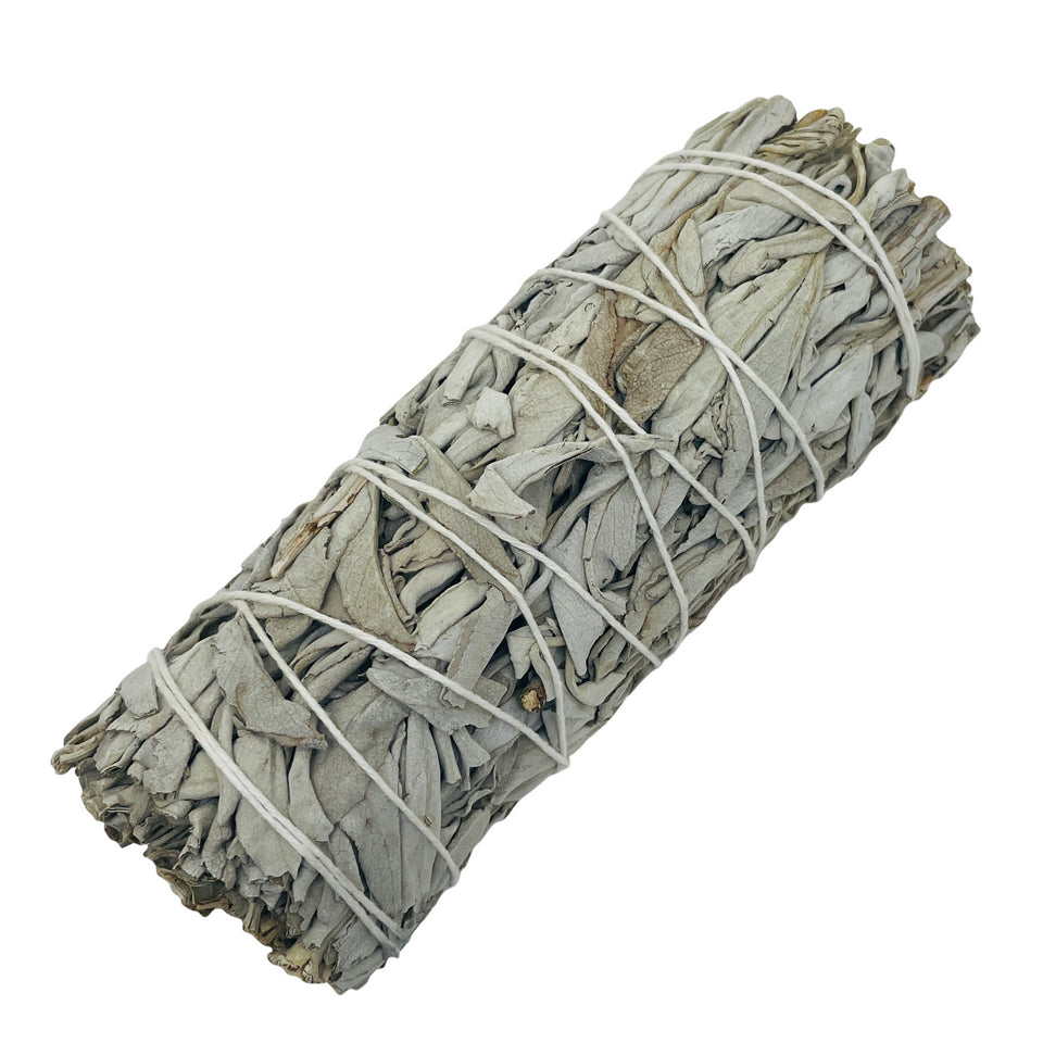White Sage / Smudge Bundle / 6" / Protection & Energy Clearing